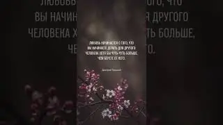 23 сентября 2023 г.