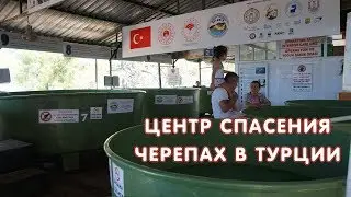 Реабилитационный центр 