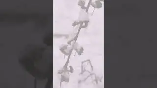 ❄️ в Калининград снова пришла зима? ❄️ погода сегодня 30 марта 2022