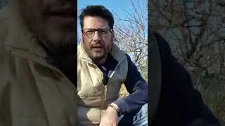 prerarazione alla semina delle fave (concia Umida)