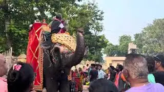 આંકલાવ અગિયારસી મેળો। ચરોતર ની મોજ ।charotar vlog | mela