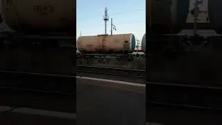 1 августа 2023 г.