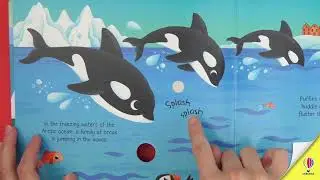 Arctic Animals Sound Book