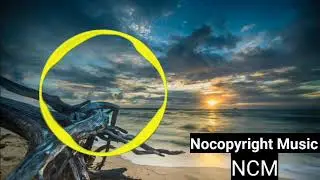 Zeus X Crona & Shiah Maisel - Run & Hide [NoCopyright Music  NCS ] Best 10