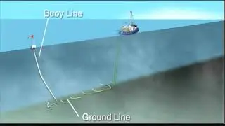 West Coast Fishing - Longline