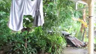 regen en nog eens regen