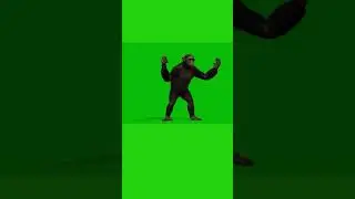 Green Screen AngryMonkey video| 