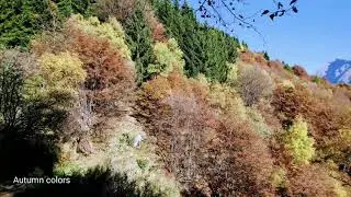022-Escursione alla Alpe Giumello 14 Ottobre 2017