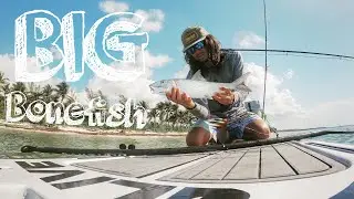 [BIG BONE ON FLY] [SALTWATER FLYFISHING]