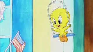 Baby Looney Tunes Intro