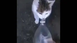 water challenge