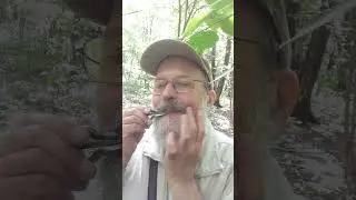Летний наигрыш на варгане Олега Щипанова