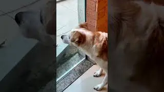 Вот это взгляд! До дрожи в коленях!