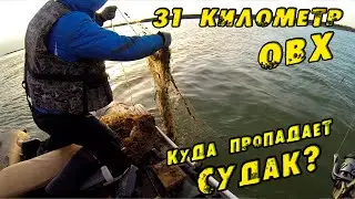 Вытащили старую СЕТЬ и Спасли Окуня! Типичная рыбалка на СУДАКА без Пафоса и Трофеев! 31 км ОВХ 2023