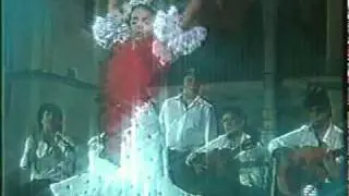 Isabel Bayón in Flamenco por Alegrias