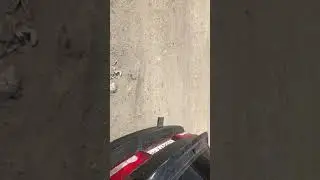 Звук