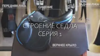 ВСЁ О СЁДЛАХ: СТРОЕНИЕ СЕДЛА