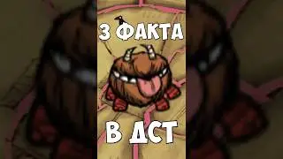 3 Факта о честере в ДСТ | TG Канал: Paystime | 