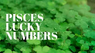 Pisces May 2021 Lucky Numbers