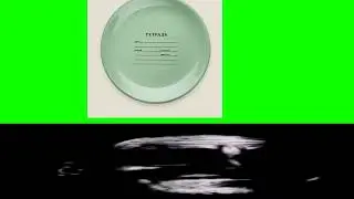 Тетрадь: