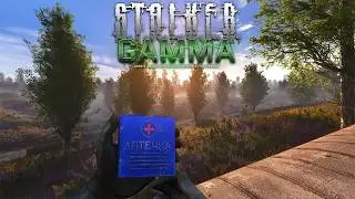 GAMMA has BETTER Healthcare than the USA - ONE LIFE IRONMAN