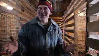 Живём в деревне