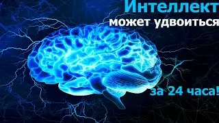 Умственные способности могут удвоиться за 24 часа!