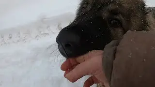 НАПАЛ НА МЕНЯ ! ПСИХ !