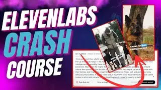 Elevenlabs Tutorial: Masterclass to Crush it with this AI Voice Generator in 2024
