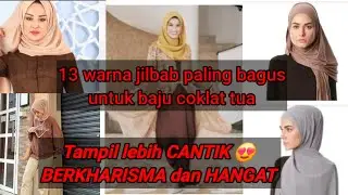 WHAT COLOR OF HIJAB DOES A DARK BROWN CLOTHING GO WITH?
