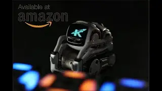5 best robot you can own 2020