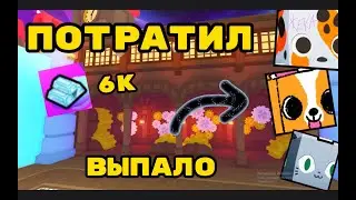 ПОТРАТИЛ 6 ТЫСЯЧ МОНЕТ🤩И ВЫБИЛ ... 🥳В PET SIMULATOR 99!! ROBLOX!!