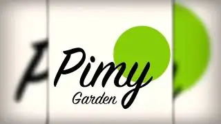 Pimy Garden - Cactus