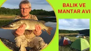 Balık Avı Mantar Avı Kamp ve Yılan