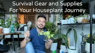 Plant Parent Survival Gear | Plant Essentials for Your Houseplants