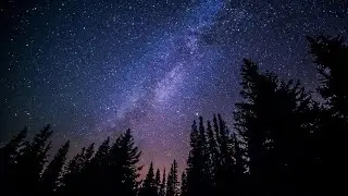видео вам на ночь
