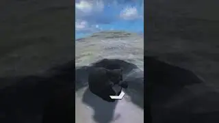 Found Maxwell Cat on Google Earth | Google Maps 