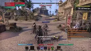 ESO - Playing With Mrs GG