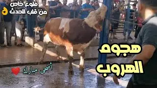 الله سترنا من العجل واحنا بنذبح الاضحية بعد صلاة العيد في مخيم جباليا شمال غزة