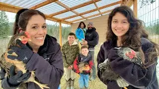 This Victory Is Extra Sweet | Finishing Our DIY Chicken Coop | How To Build A Chicken Coop