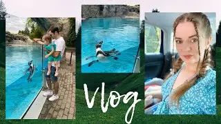 VLOG:Едем в зоопарк.Зоопарк в Польше