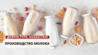 ПРОИЗВОДСТВО МОЛОКА