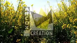 ARCOX STUDIO - 10 ANS DE CREATION