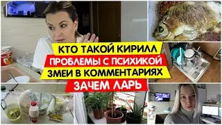 Кто Кирилл / Проблемы с ПСИХИКОЙ / Змеи в комментариях /  ПОСЫЛОКИ / Зачем нам ЛАРЬ Карась в сметане