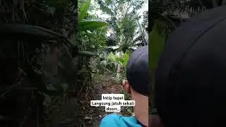 sekali dorr tupai #hunter #shorts
