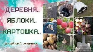 Деревня..Яблоки..Картошка)) После отдыха сразу в огороды😅