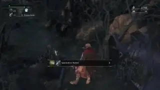 Bloodborne 17 - The Road to Hemwick
