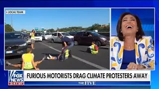 Climate Change Protesters DRAGGED Away By Irate Motorists!