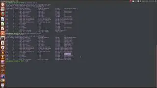 Linux Kill A Process