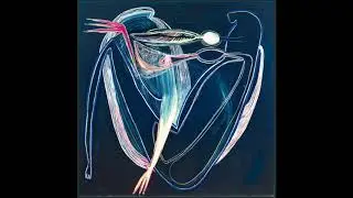 Konduku - Şekersin [DISK20]